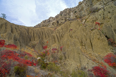 Similar image 21151001