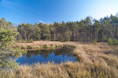 Similar image 21151008