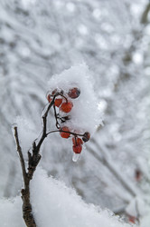 Similar image 21151013