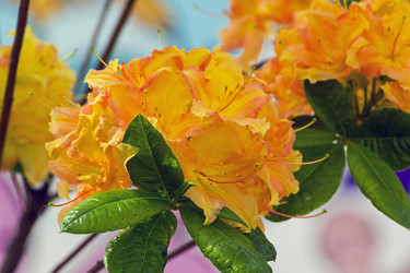 Similar image 21151018