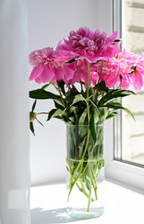 Similar image 21154642