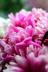 Similar image 21154644