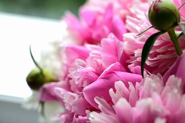 Similar image 21154647