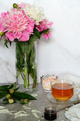 Similar image 21154648