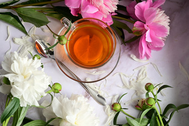 Similar image 21154650