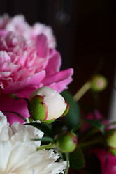 Similar image 21154651