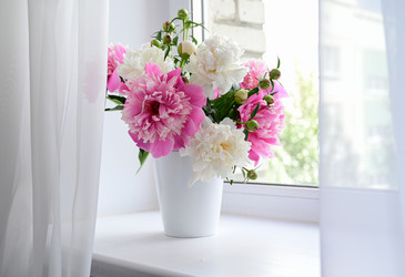 Similar image 21154653