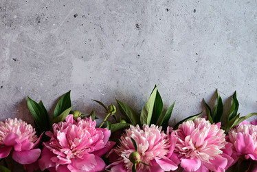 Similar image 21154654