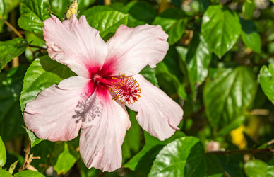 Similar image 21152418