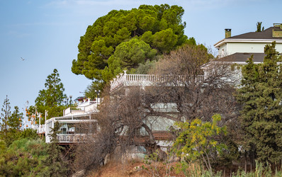 Similar image 21152432