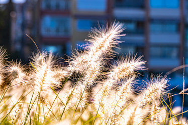 Similar image 21152448