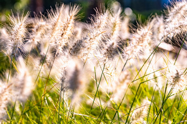 Similar image 21152449