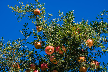 Similar image 21152450