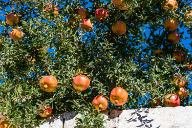 Similar image 21152451