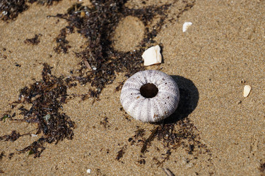 Similar image 21157163