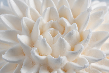 Similar image 21154265