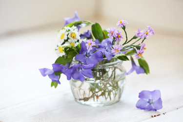 Similar image 21150364