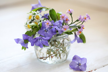 Similar image 21150367