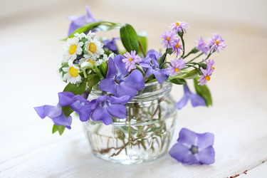 Similar image 21150368