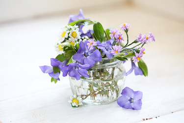 Similar image 21150369