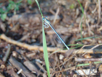 Similar image 21154275