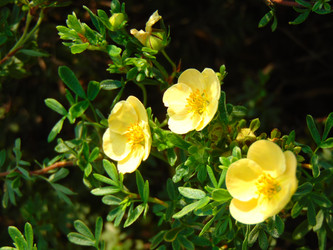 Similar image 21154276