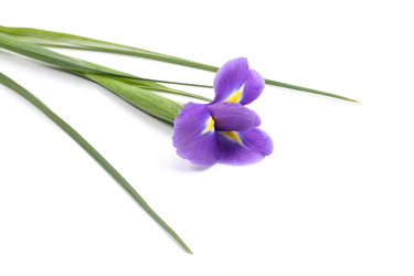 Similar image 21151244