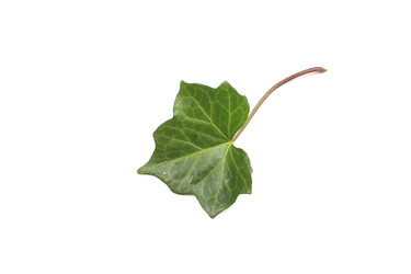 Similar image 21151033