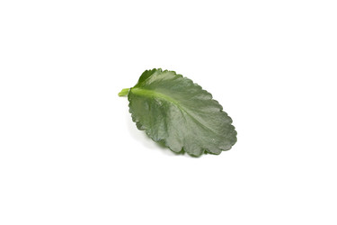 Similar image 21151034