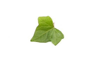 Similar image 21151037