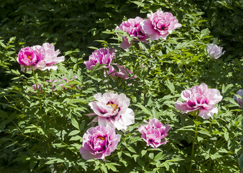 Similar image 21151039