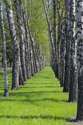 Similar image 21151040