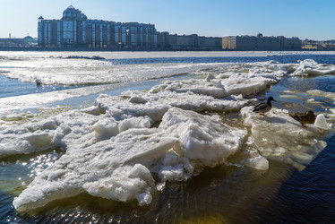 Similar image 21156797