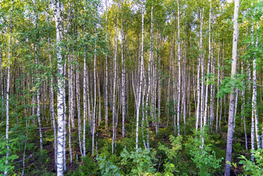 Similar image 21156812