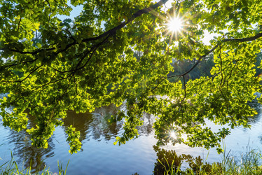 Similar image 21156828