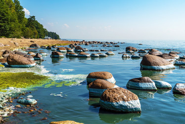 Similar image 21156834