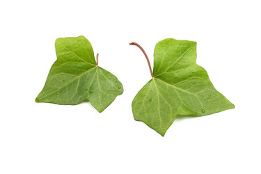 Similar image 21151245