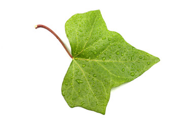 Similar image 21151247