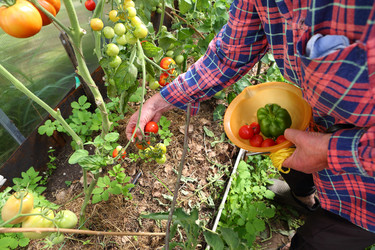 Similar image 21151049