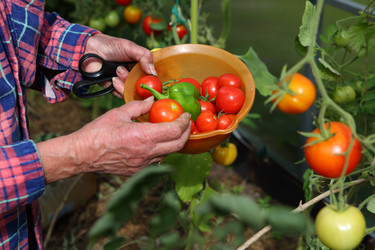 Similar image 21151051