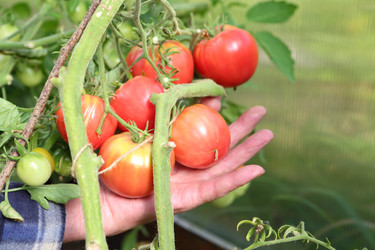 Similar image 21151055