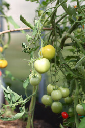 Similar image 21151056