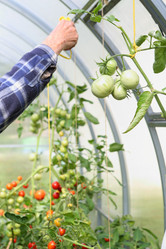 Similar image 21151059