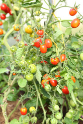 Similar image 21151060