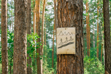 Similar image 21188559