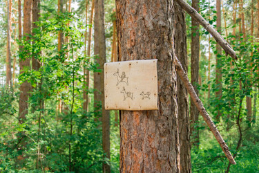 Similar image 21188560