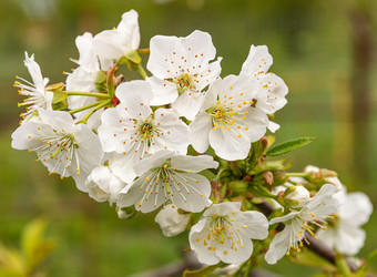 Similar image 21154408