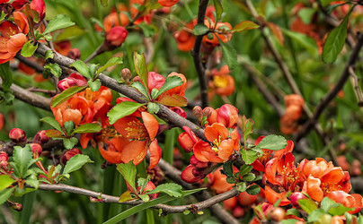 Similar image 21154410