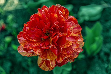 Similar image 21154413