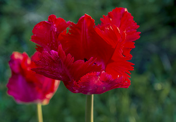 Similar image 21154414